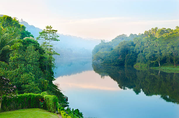 istock wonderful morning on  tropical river 177854573