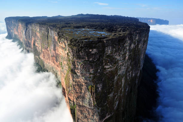 mount roraima Mount Roraima is a mountain located in South America, on the triple border between Brazil, Venezuela and Guyana. It constitutes a tepui, a type of table-shaped mountain quite characteristic of the Guiana plateau. mount roraima south america stock pictures, royalty-free photos & images