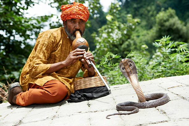 charmantes der schlange in indien - indian ethnicity sadhu india pilgrim stock-fotos und bilder