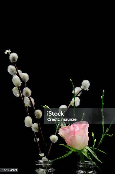 Foto de De Primavera Nos Eua e mais fotos de stock de Arbusto - Arbusto, Bebida gelada, Branco