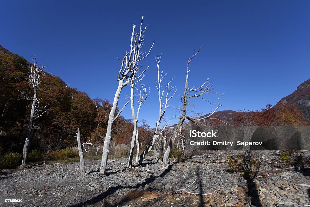 Осень в Горы Патагонии - Стоковые фото Анды роялти-фри