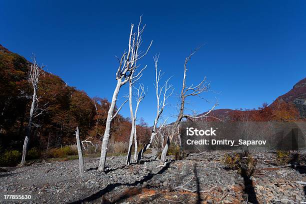 Осень В Горы Патагонии — стоковые фотографии и другие картинки Анды - Анды, Аргентина, Барилоче