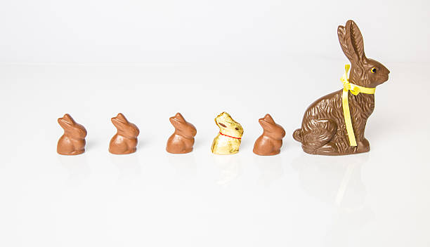 istock Chocolate Bunny Family 177855798