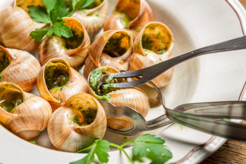 Closeup of eating the fried snails with garlic butter.