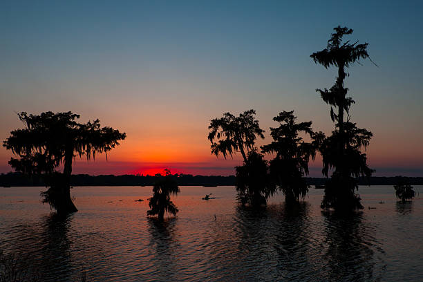 istock Palm trees silhouetted against the sunset in Kayak 177859327