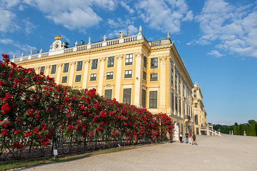 Vienna, Austria - August 12, 2022: Back view of the famous Schonbrunn palace in Austria, seen from a public accessible garden on a sunny day with blue sky and contrasty clouds. Austrian landmark view and its capital city skyline