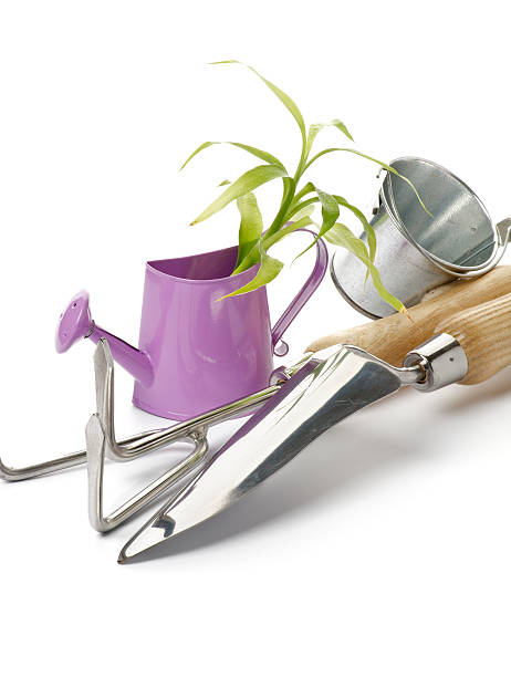istock Purple Watering Can with Green Plant 177860765