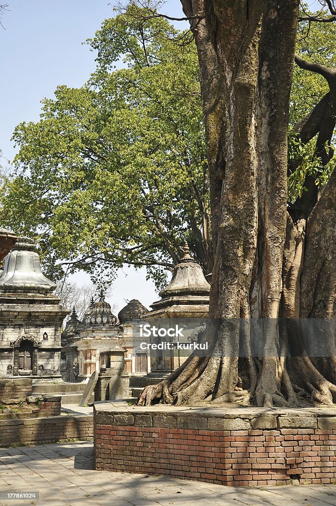 Pashupatinath templo - Foto de stock de Aire libre libre de derechos