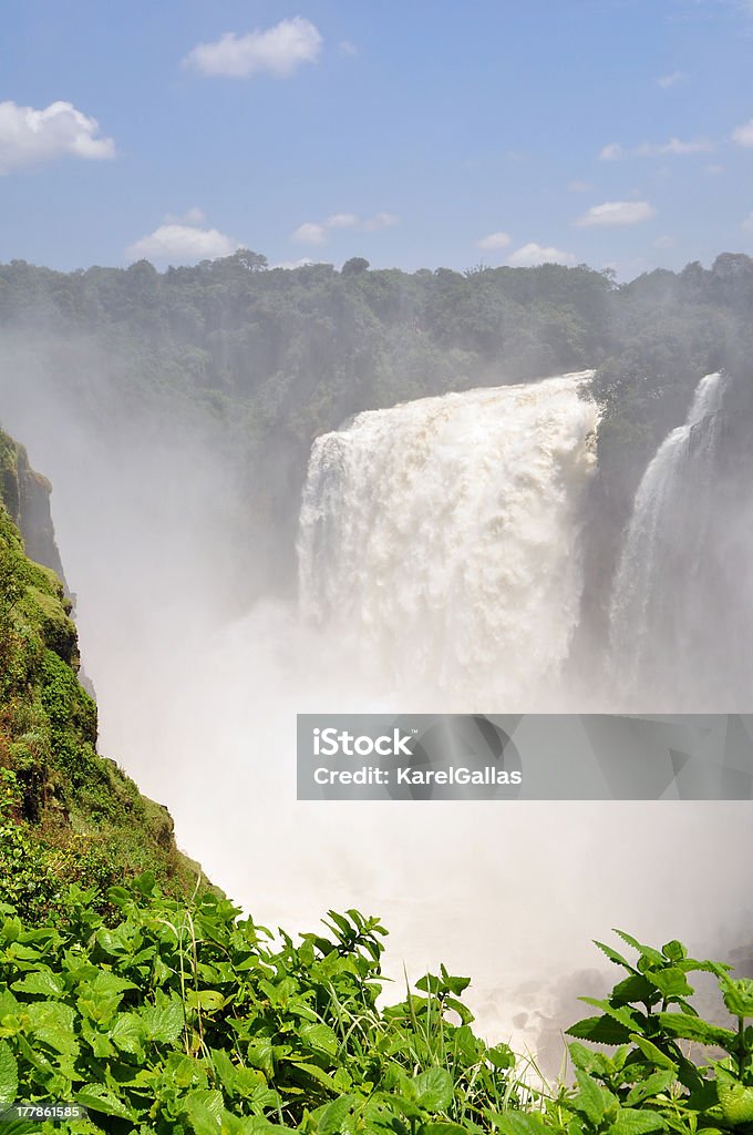 full flow rate Victoria Falls in Zimbabwe,Africa. Africa Stock Photo