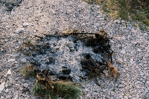 Unburned coniferous branches and ashes from a round fire on stony soil. High quality photo