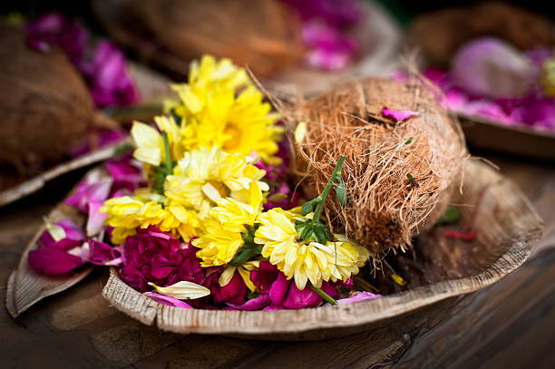 flor e coco ofertas de hindu cerimónia religiosa - single flower bouquet flower holidays and celebrations imagens e fotografias de stock