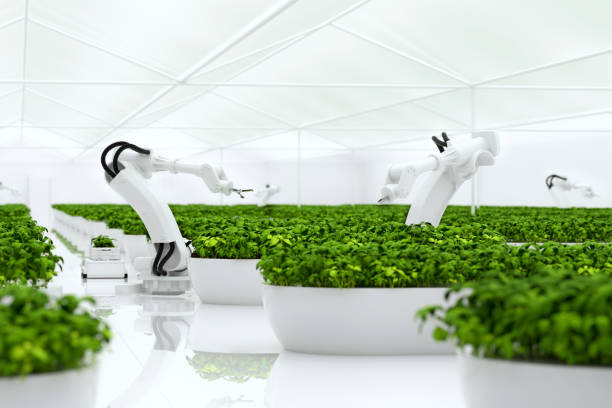 istock Smart farming agricultural technology using AI and robots 1778622571