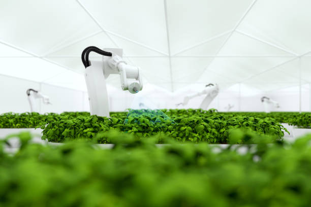 istock Smart farming agricultural technology using AI and robots 1778622576