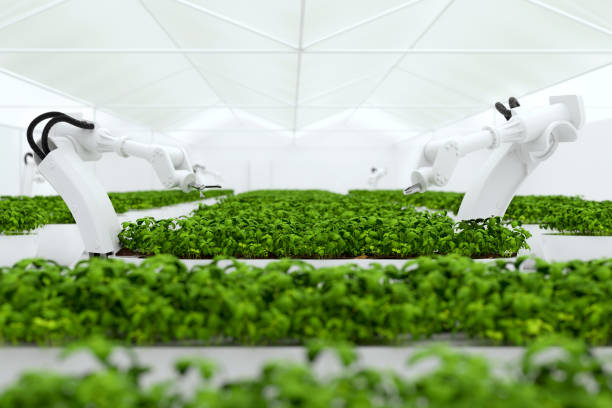 istock Smart farming agricultural technology using AI and robots 1778622589
