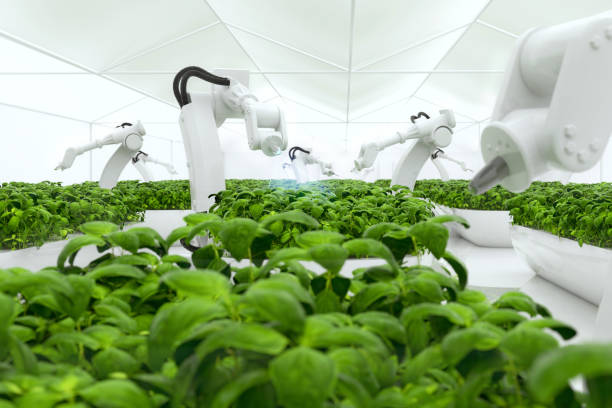 istock Smart farming agricultural technology using AI and robots 1778622594