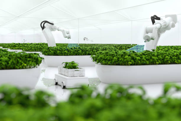 istock Smart farming agricultural technology using AI and robots 1778622597