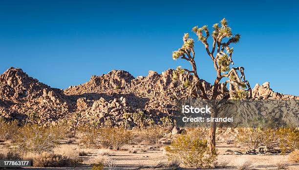 Foto de Céu De Safira e mais fotos de stock de Céu - Fenômeno natural - Céu - Fenômeno natural, Deserto, Exterior