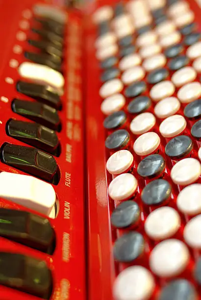 Photo of buttons on an accordion