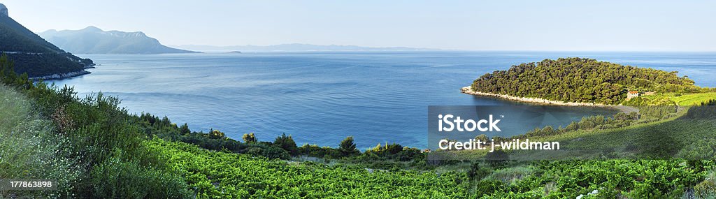 Vista a la costa del mar de verano (Croatia) - Foto de stock de Agua libre de derechos