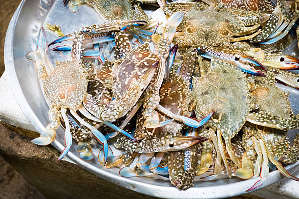 istock crabs at market 177864067
