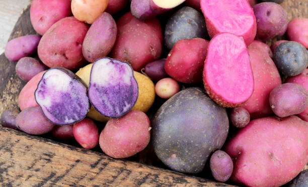 istock organic potatoes of different shades 1778643786