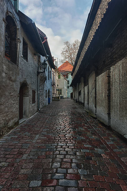 istock Katarina street in Tallinn 177864415
