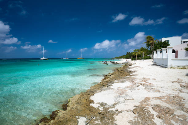 istock Shoreline of Boca Catalina Beach, Aruba 1778652672
