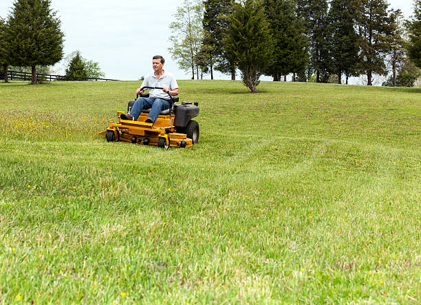 istock Senior man rides zero turn lawn mower on turf 177865687