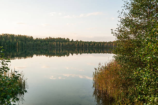 istock Lake with forest along bank reflecting in calm water 177865896