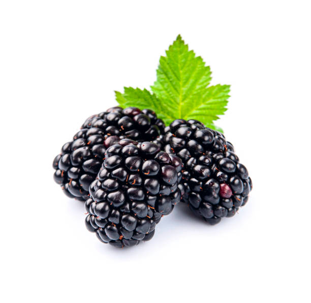 istock Sweet blackberry with leaves 1778672861