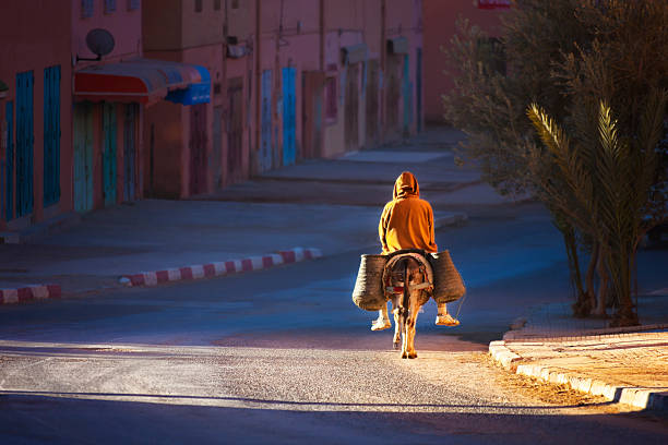 Man on donkey rides early morning. stock photo