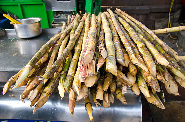 istock fresh sugarcane in Delhi bazaar, India 177868411