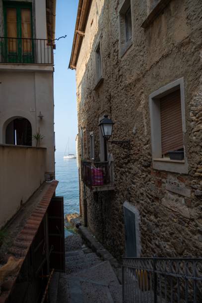 istock Tranquil pathway bordered by a waterway and leading up to a building with blue doors 1778685877