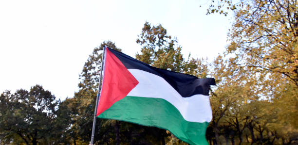 istock Palestine National Flag Waving, Tree, The Netherlands, Europe 1778689178