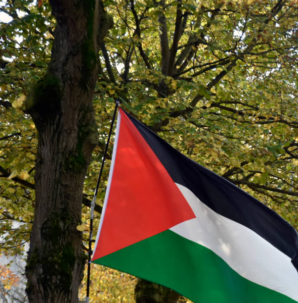 istock Palestine National Flag Waving, Tree, The Netherlands 1778689196