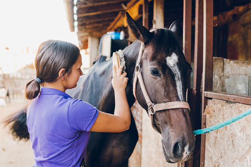 Young girl combing the mane of horse.