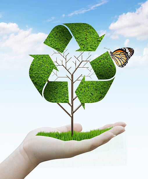 istock hand holding tree as a recycle symbol 177869581