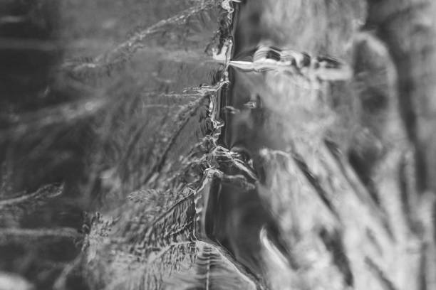 istock Extreme Close up of water 1778703232