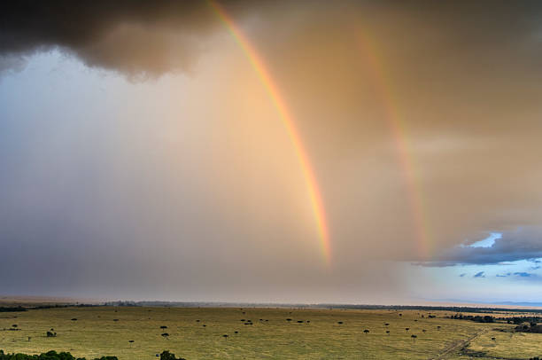 istock Storm and Double Rainbow on the Masai Mara 177874157