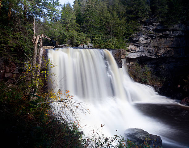 istock Blackwater Falls in Autumn 177874526