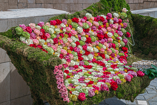 Timisoara: Beautiful floral decoration with the occasion of the Flower Festival organized by the City Hall.