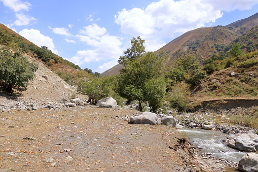 the landscape at the river Urumbash near the Kaldaman pass between Arslanbob and Kazarman in Kyrgyzstan, Central Asia