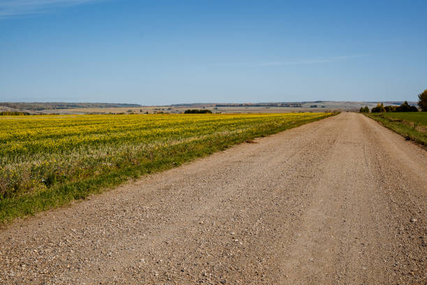 istock the road through the field 1778749198