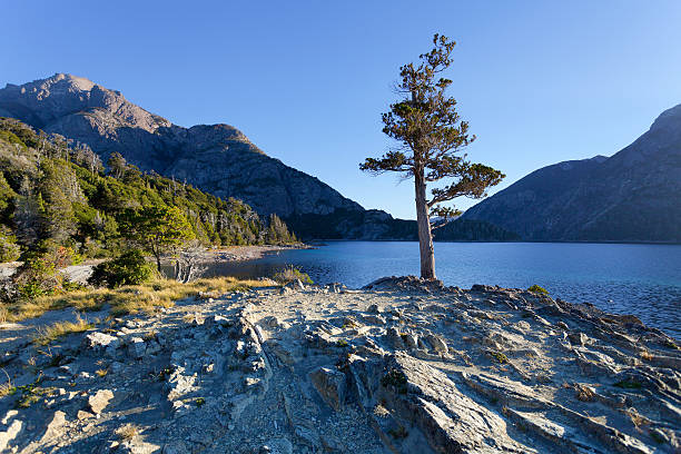 осень в горы патагонии - bariloche argentina andes autumn стоковые фото и изображения