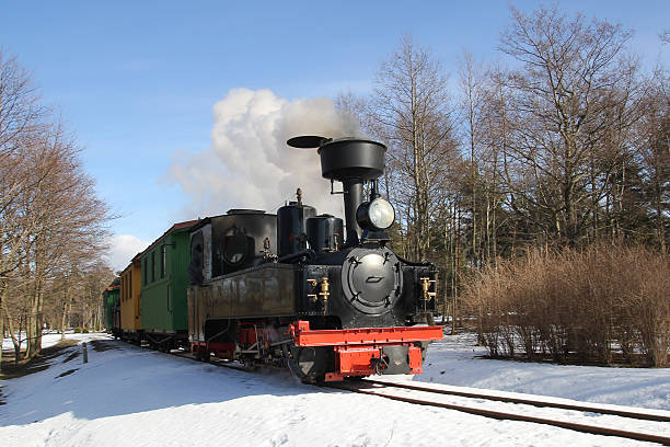 istock little steam locomotive 177875640
