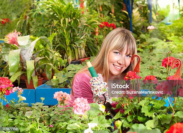 Schöne Mädchen In Einem Gewächshaus Stockfoto und mehr Bilder von Arbeiten - Arbeiten, Attraktive Frau, Baumblüte