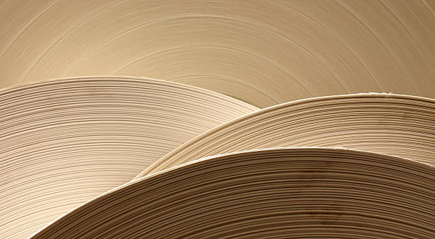Rolled paper in various shades and texture stock photo