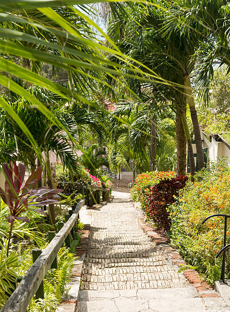 istock Famous 99 steps Charlotte Amalie 177877841