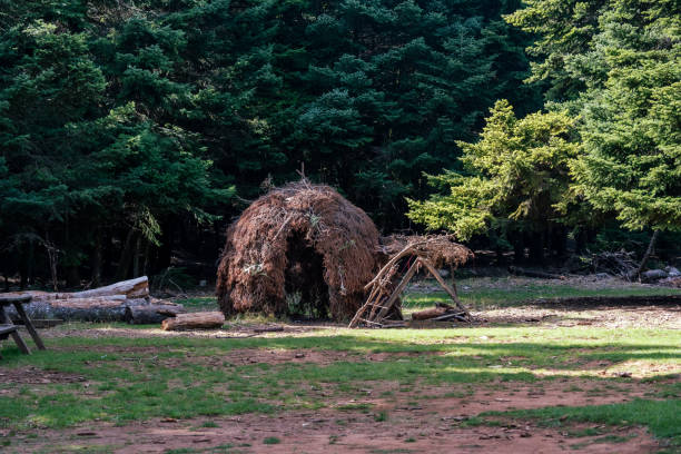 istock A shack in the wood. 1778779392