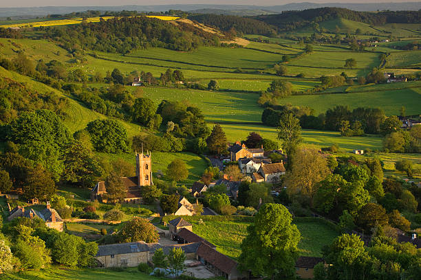 Evening light in spring at Corton Denham, Somerset Evening spring sunshine looking down on Corton Denham, Somerset, UK dorset england photos stock pictures, royalty-free photos & images